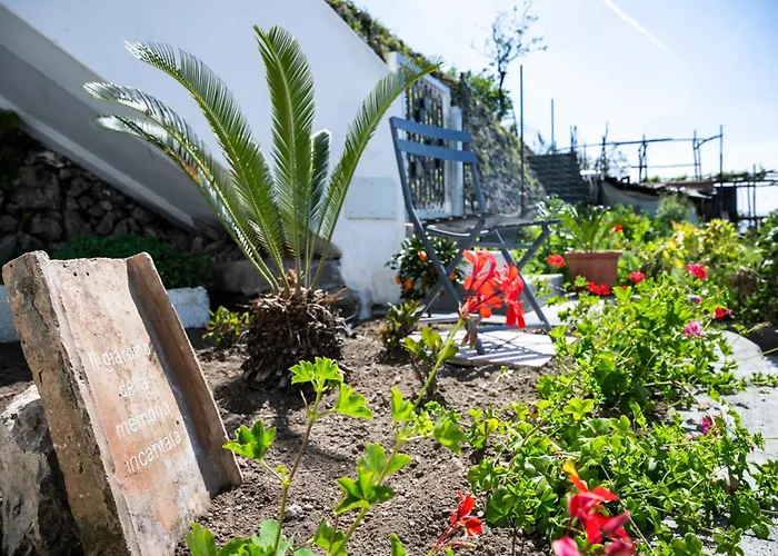 Dimora Giuela Pensjonat 4*