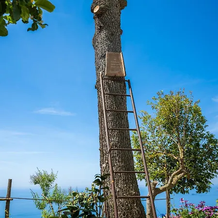 Pensjonat Dimora Giuela Positano