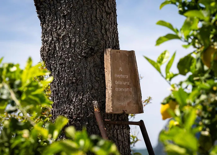 Dimora Giuela Гостевой дом 4*