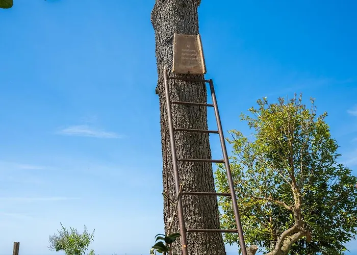 Гостевой дом Dimora Giuela Позитано