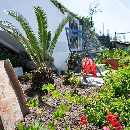 Dimora Giuela Pensión 4*